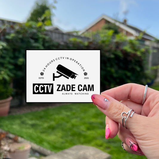 Haunting Adeline Book Sticker - Security Surveillance