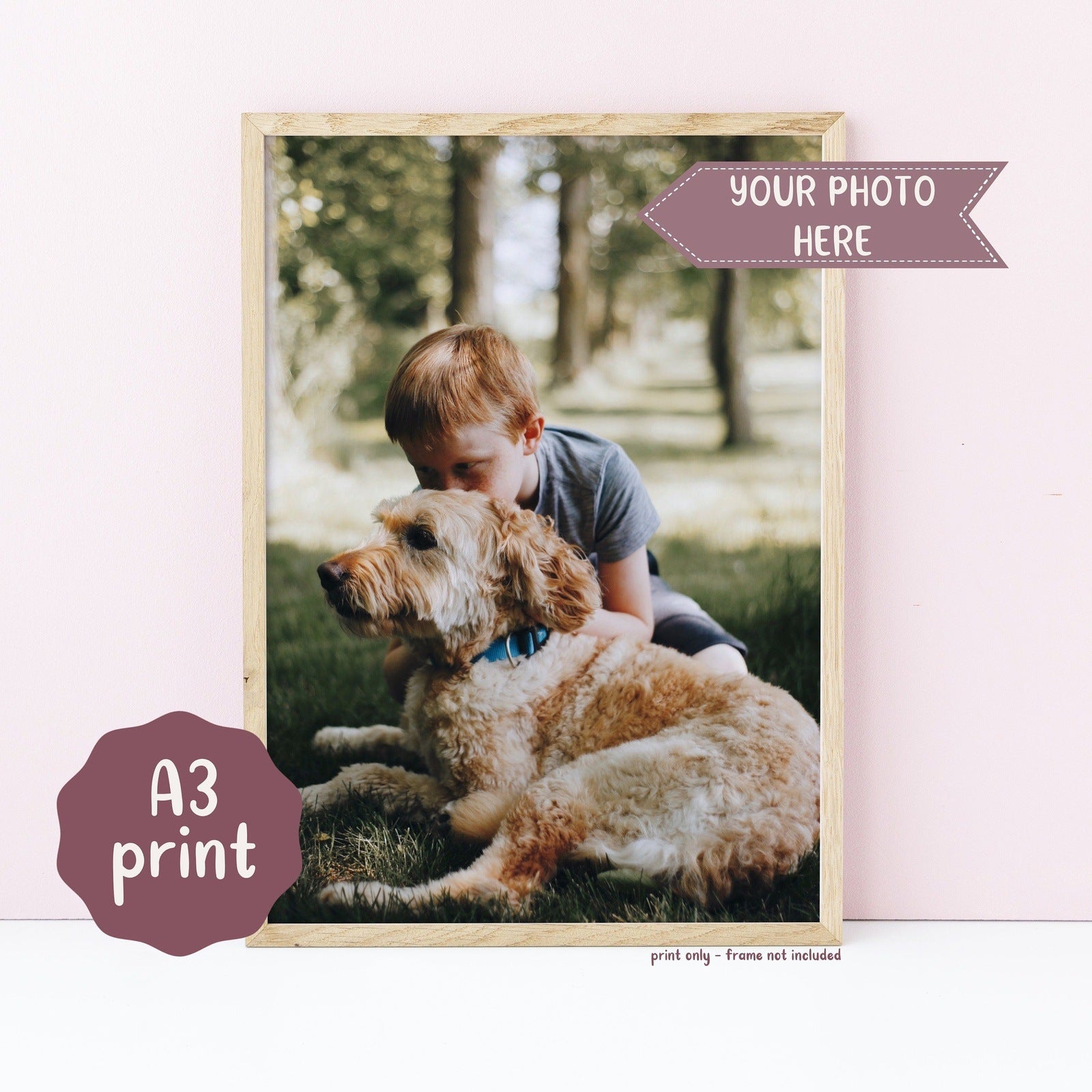Print Your Own Pet Photo
