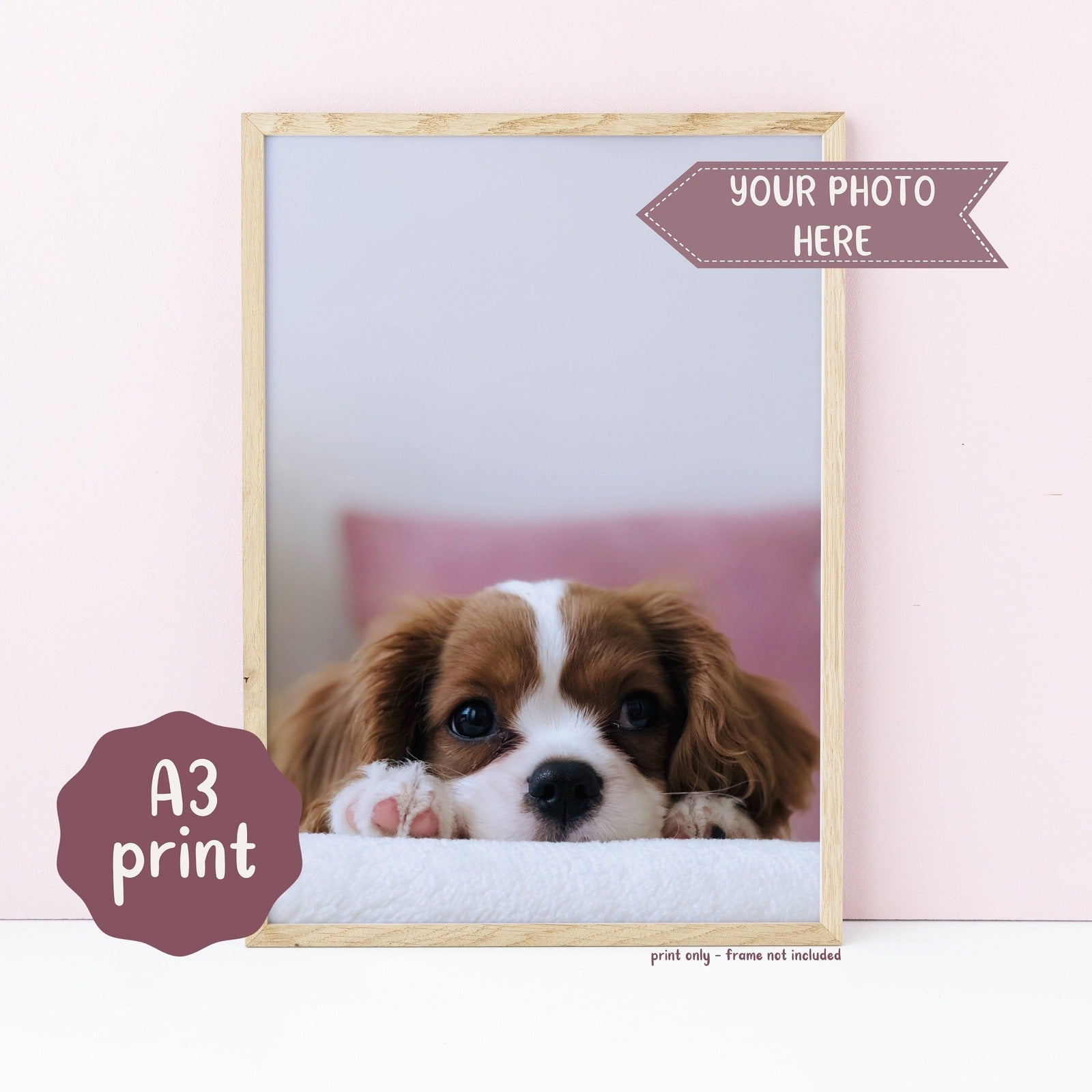 Print Your Own Photo